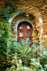  Beautiful window covered with leaves. Vertical background. Architecture, design.