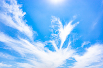 Wall Mural - sunshine clouds during morning light. blue, white pastel heaven, soft focus lens flare sunlight. abs