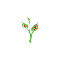 Poster - Green anergy logo, Leaf with electric logo