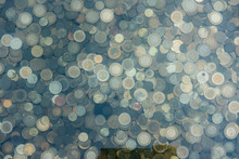 Coins In A Wishing Well