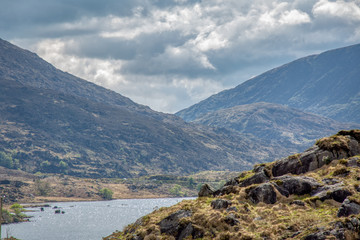 Poster - Irland