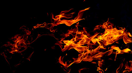 Wall Mural - Fire flames on black background. Fire background