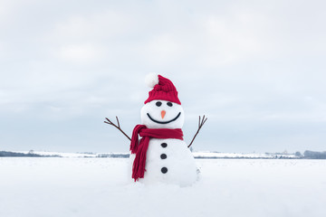 Wall Mural - Funny snowman in stylish hat and red scalf on snowy field. Merry Christmass and happy New Year!