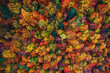 © ValentinValkov - Aerial drone view over autumn forest. Colorful trees in the wood.