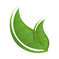 ecology leafs plant icon