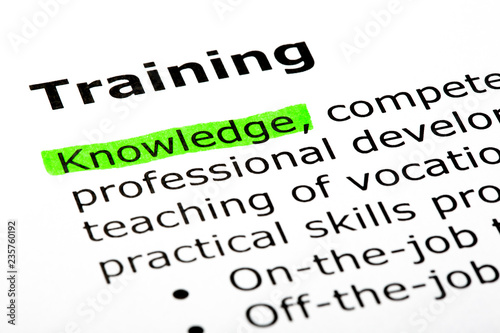 Cuadros en Lienzo Dictionary Definition Of The Word Training