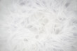 canvas print picture - Pure white tulle fabric in an intricate frill that can be used as the background for bridal showers or baby invitations.