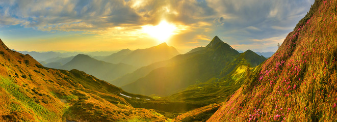 Wall Mural - panoramic view of evening highland with mountain rhododendron