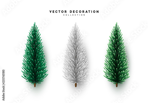 Decorative Pine Christmas Trees Color Green And White Vector