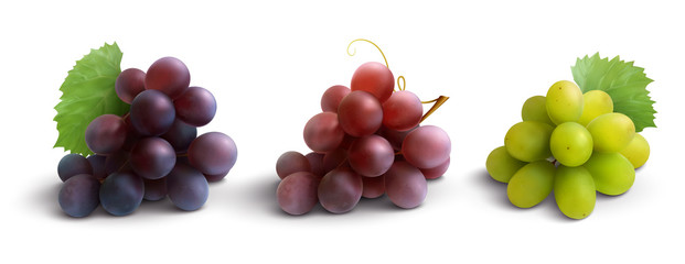 Canvas Print - Grapes Realistic Composition