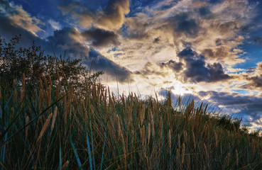 Dramatic sky with clouds and sunshine over beach grass.