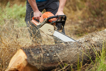 Lumberjack with chainsaw working