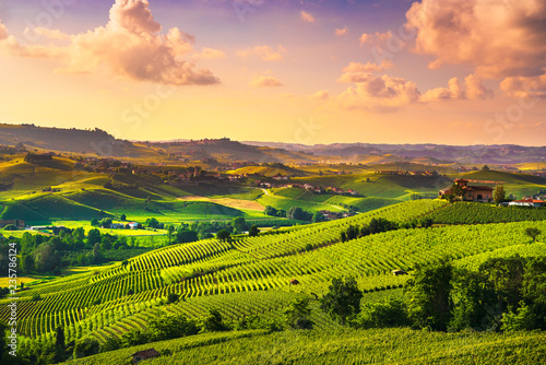 Fotomural Langhe vineyards sunset panorama, Barolo, Piedmont, Italy Europe.