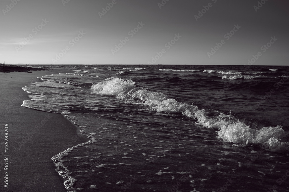 Baltic Sea beach black and white - obrazy, fototapety, plakaty 
