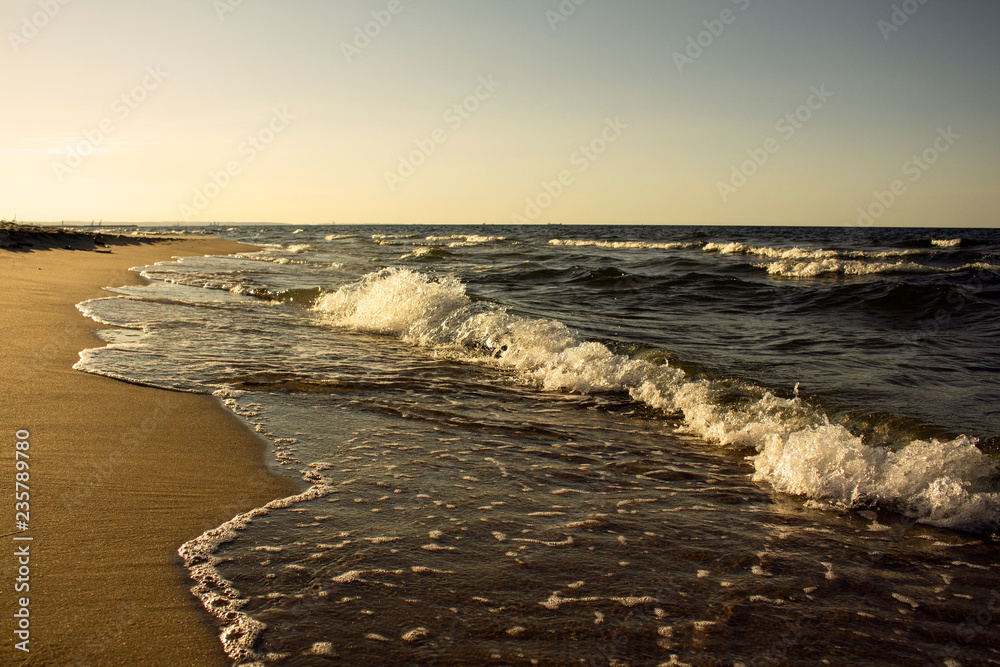 Baltic Sea beach - obrazy, fototapety, plakaty 