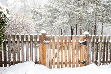 Wooden Fence Gate With Lock, Locked Latch Covered In White Snow At Heavy Snowing Snowstorm, Storm, Falling Snowflakes By House, Home With Forest, Bushes In Background