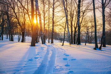 Wall Mural - Colorful sunset over ski track in winter park