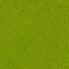 Natural Color Of Green Swamp Water Surface With Grass Fragments Theme Seamless Square Pattern Texture Design Reference Background Top Down Details Photo