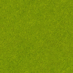 natural color of green swamp water surface with grass fragments theme seamless square pattern texture design reference background top down details photo