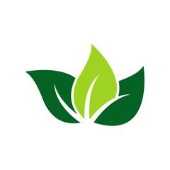 Wall Mural - leaf logo icon design template vector