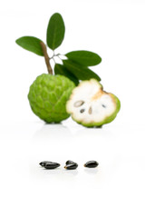 Wall Mural - Custard apple isolated on white background Famous Asian noni fruit