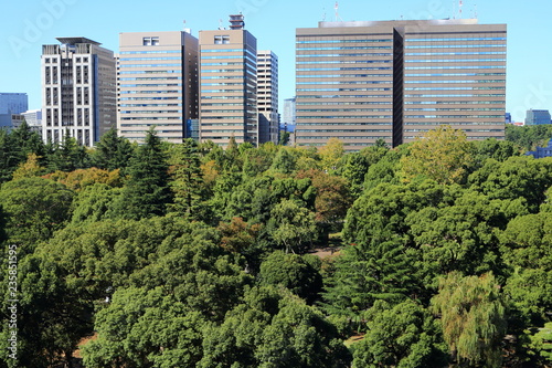 緑の日比谷公園と霞が関官庁街 Stock Photo Adobe Stock 緑の日比谷公園と霞が関官庁街 Stock Photo Adobe Stock