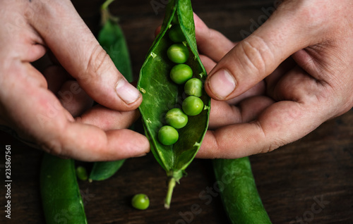 Fotografía Close up of a man holding raw green peas