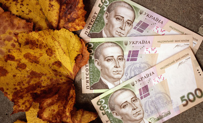 Autumn leaves and money as a symbol of profit