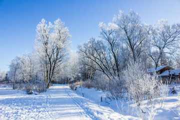  Winter landscape in clear weather. Morning bright sun. Snow plays shine. Frosty Snow Park