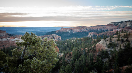 Canvas Print - Bryce Canyon 