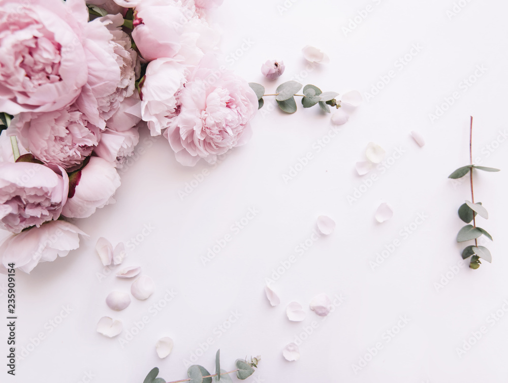 Beautiful, tender fresh blossoming aromatic pink Peony flowers and eucalyptus branches on the white background, top view, flat lay - obrazy, fototapety, plakaty 