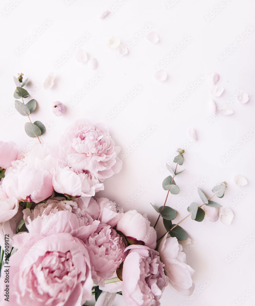 Beautiful, tender fresh blossoming aromatic pink Peony flowers and eucalyptus branches on the white background, top view, flat lay - obrazy, fototapety, plakaty 