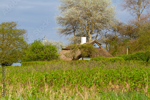 Alte Redgedecktes Haus Kate Am Strand Der Ostsee Buy This