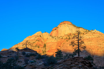 Wall Mural - Scenic Zion National Park Utah Landscape