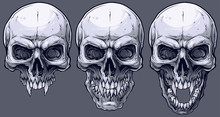 Detailed Graphic Realistic Cool Black And White Human Skulls With Sharp Canines. On Gray Background. Vector Icon Set.