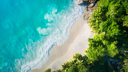 Poster - Tropical beach with sea and palm taken from drone. Anse Lazio beach at Praslin island, Seychelles. Vacation holidays concept