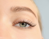 Fototapeta Panele - Young woman with beautiful long eyelashes on gray background, closeup. Extension procedure