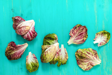 Wall Mural - Organic young lettuce chicory on turquoise wooden table