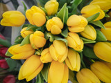 Fototapeta Tulipany - Flowers tulip, close-up.