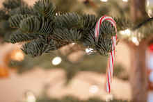 Holiday Decorations, Ornament On A Authentic Christmas Tree, With Candy Cane And Snow Shoe Hanging From Tree With Lights In The Background