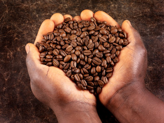 Poster - MAN HOLDING ROASTED COFFEE BEANS