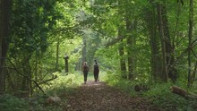 Hiking Through Bialowieza Forest In Poland