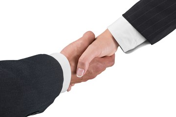 Closeup of Businessman and Businesswoman Shaking Hands with