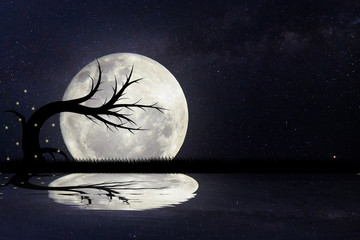 The moon and the moon reflect the water