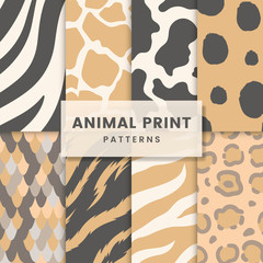 Wall Mural - Set of seamless animal print pattern vectors