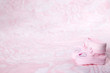 Pink booties on a pink background
