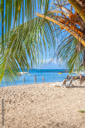 Plage Sous Les Cocotiers Ile Maurice Stock Photo Adobe Stock