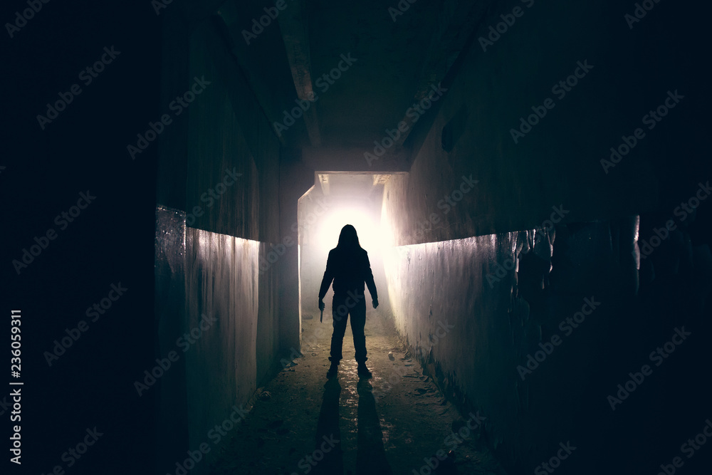 Silhouette of maniac with knife in hand in long dark creepy corridor, horror psycho maniac or serial killer concept - obrazy, fototapety, plakaty 
