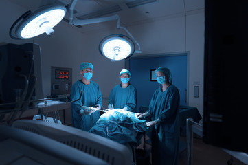 Wall Mural - group of veterinarian surgery in operation room for laparoscopic take with art lighting and blue filter