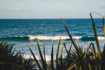 Wall Mural - surfer ocean Australia Burleigh Heads modern good wave